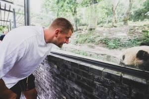  都是大胖小子👻约基奇中国行成都站怎能不看熊猫🐼出来投两个
